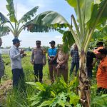 Kapolsek Kotabaru Bersama Forkopimcam Cek Korban Terdampak Banjir Akibat Tanggul Jebol