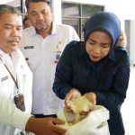 Wabup Bantu Salurkan Bantuan Pangan Beras Di Dua Kecamatan