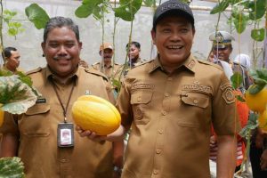 Bupati Resmikan Wisata Petik Melon Premium BUMDes Sidorejo